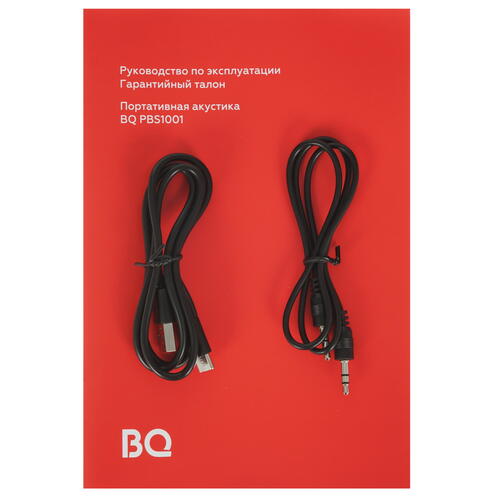 Купить Портативная колонка BQ PBS1001, черный  5076607. Характеристики, отзывы и цены в Донецке