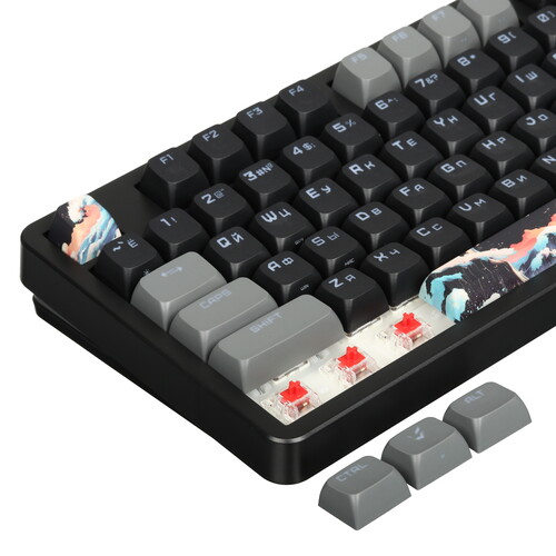 Купить Клавиатура  проводная ARDOR GAMING Otohime  9231731. Характеристики, отзывы и цены в Донецке