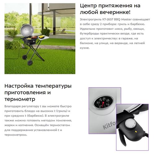 Купить Гриль Kitfort КТ-1657 BBQ Master серый  5339025. Характеристики, отзывы и цены в Донецке