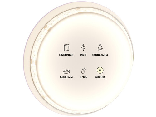 Купить Светодиодная лента Maytoni 24В 2835 20Вт/м 4000K 5м IP65  9185079. Характеристики, отзывы и цены в Донецке