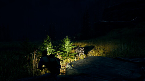 Купить Игра Open Country (Steam)  5622374. Характеристики, отзывы и цены в Донецке