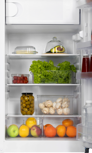 Купить Холодильник компактный   NORD NR 247 032 белый  9291872. Характеристики, отзывы и цены в Донецке