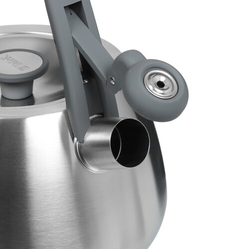 Купить Чайник для плиты Taller Reynard TR-11372 серебристый  5462294. Характеристики, отзывы и цены в Донецке