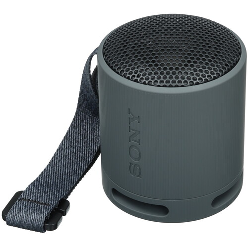 Купить Портативная колонка Sony SRS-XB100, черный  5605588. Характеристики, отзывы и цены в Донецке