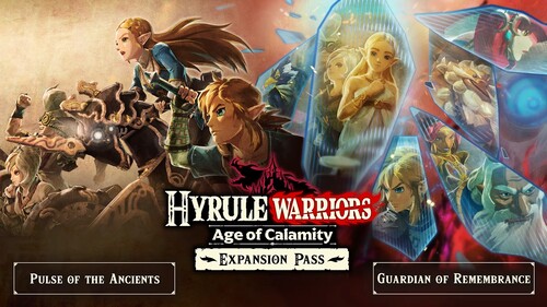 Купить Дополнение для игры Hyrule Warriors: Age of Calamity Expansion Pass (Switch)  5483987. Характеристики, отзывы и цены в Донецке