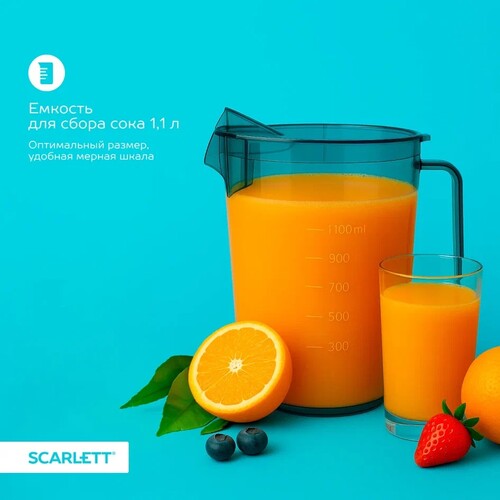Купить Соковыжималка электрическая Scarlett SC-JE50S64 серебристый  9276015. Характеристики, отзывы и цены в Донецке