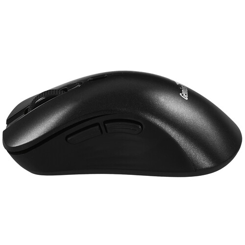 Купить Мышь беспроводная Genius Ergo 8100S  9140286. Характеристики, отзывы и цены в Донецке