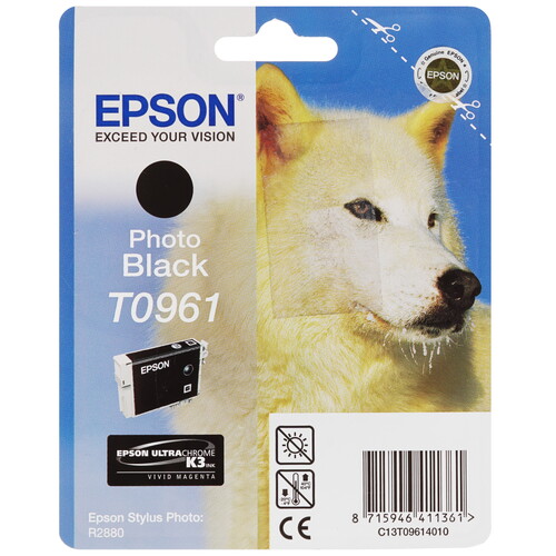 Купить Картридж Epson T0961 фото-черный  7932549. Характеристики, отзывы и цены в Донецке