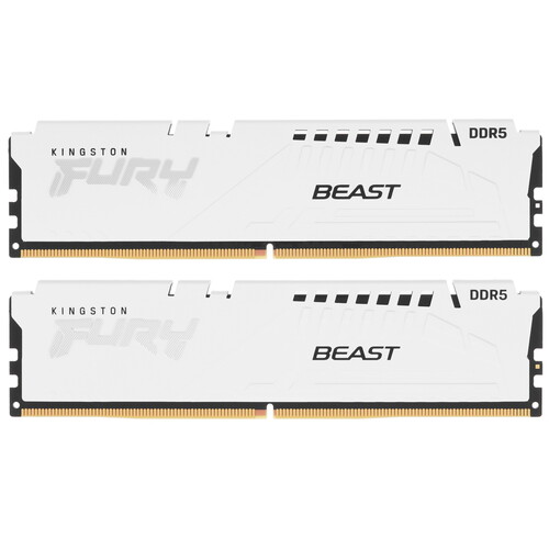 Купить Оперативная память Kingston FURY Beast White [KF564C32BWEK2-64] 64 ГБ  5611964. Характеристики, отзывы и цены в Донецке