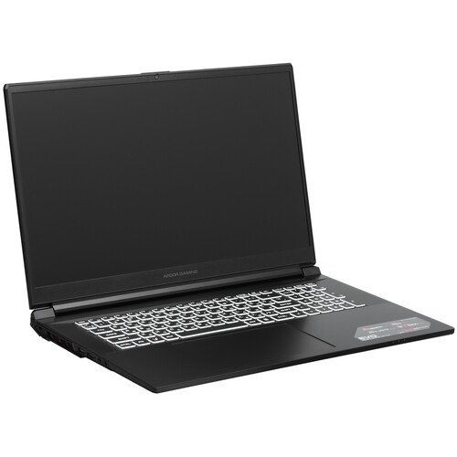 Купить 17.3" Ноутбук ARDOR Gaming EVO E17-I7ND401 черный  9083820. Характеристики, отзывы и цены в Донецке