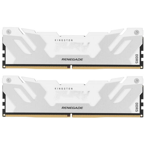 Купить Оперативная память Kingston Fury Renegade White [KF560C32RWK2-32] 32 ГБ  5406023. Характеристики, отзывы и цены в Донецке