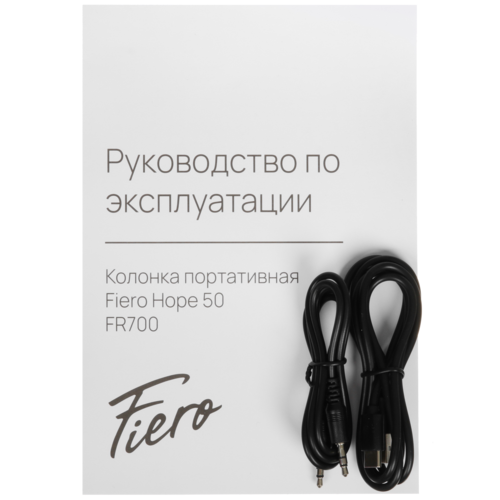Купить Портативная колонка Fiero Hope 50 FR700, черный  5403191. Характеристики, отзывы и цены в Донецке