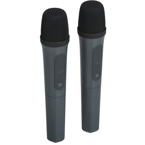 Купить Портативная аудиосистема Anker Soundcore Rave 3, черный  5617018. Характеристики, отзывы и цены в Донецке