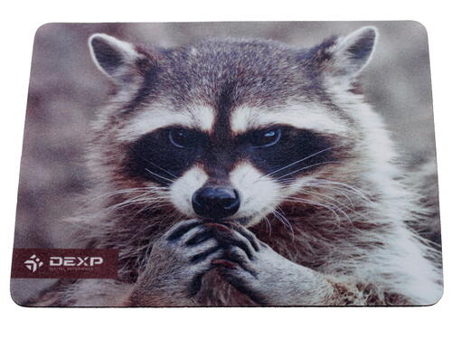 Купить Коврик DEXP OM-XS Racoon  разноцветный  1048586. Характеристики, отзывы и цены в Донецке