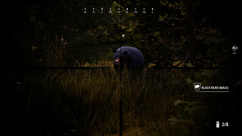 Купить Дополнение для игры Hunting Simulator 2: Bear Hunter Pack (Steam)  5622355. Характеристики, отзывы и цены в Донецке