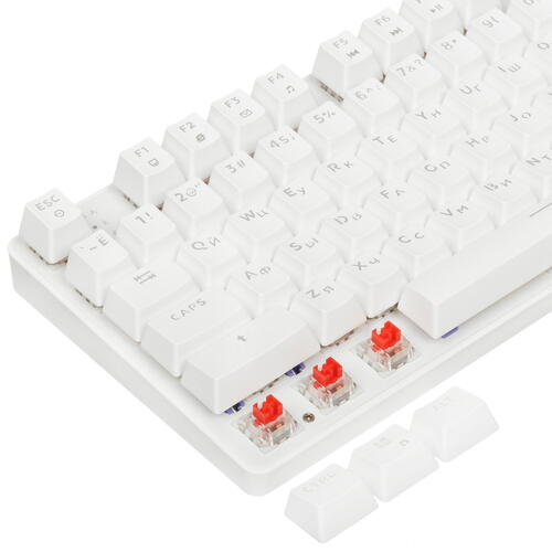 Купить Клавиатура  проводная DEXP Blaze  9019365. Характеристики, отзывы и цены в Донецке