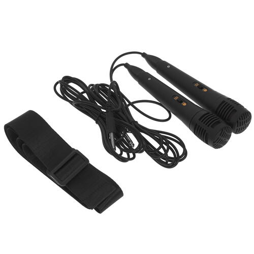 Купить Портативная аудиосистема Ritmix SP-910B, черный  5401081. Характеристики, отзывы и цены в Донецке