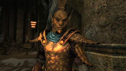Купить Дополнение для игры The Elder Scrolls V: Skyrim Anniversary Edition (Steam)  5634930. Характеристики, отзывы и цены в Донецке