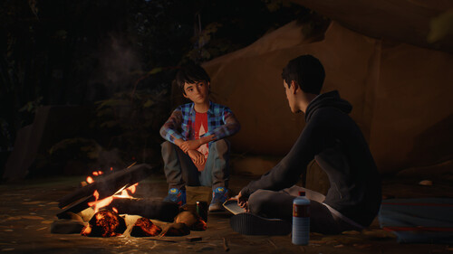 Купить Игра Life is Strange 2 - Episode 1 (Steam)  5484408. Характеристики, отзывы и цены в Донецке