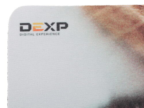 Купить Коврик DEXP OM-XS Kitten  разноцветный  1048588. Характеристики, отзывы и цены в Донецке