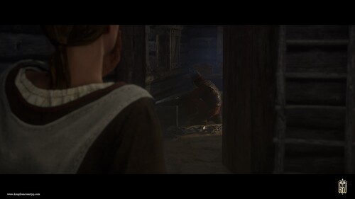 Купить Дополнение для игры Kingdom Come: Deliverance - A Woman's Lot (Steam)  5601572. Характеристики, отзывы и цены в Донецке