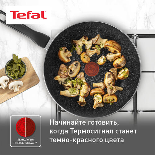 Купить Вок-сковорода Tefal Brut 4220628  5081623. Характеристики, отзывы и цены в Донецке