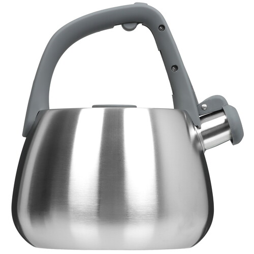 Купить Чайник для плиты Taller Reynard TR-11372 серебристый  5462294. Характеристики, отзывы и цены в Донецке
