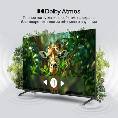 Купить 55" (140 см) Телевизор Digma DM-LED55UQB31 черный  9225891. Характеристики, отзывы и цены в Донецке