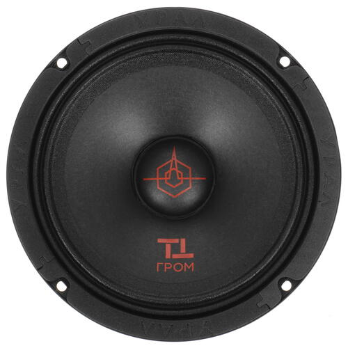 Купить Среднечастотная акустическая система Ural ТТ-165 ГРОМ  5020540. Характеристики, отзывы и цены в Донецке