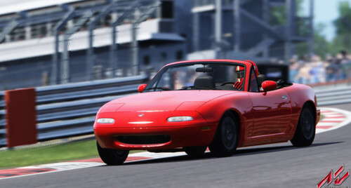 Купить Игра Assetto Corsa (Steam)  5624977. Характеристики, отзывы и цены в Донецке