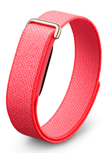 Купить Фитнес-браслет Google Fitbit Air  9382579. Характеристики, отзывы и цены в Донецке