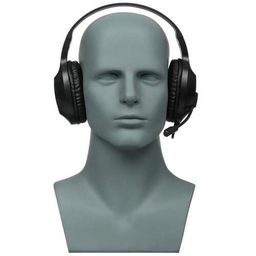 Купить Проводные наушники Aceline GL7007 черный 2025  9152866. Характеристики, отзывы и цены в Донецке