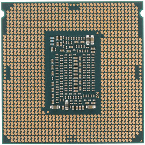 Купить Процессор Intel Pentium Gold G5400 OEM  1214055. Характеристики, отзывы и цены в Донецке