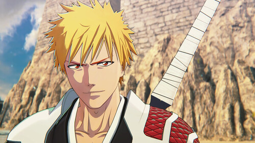Купить Дополнение для игры BLEACH Rebirth of Souls - Season Pass (Steam)  5624085. Характеристики, отзывы и цены в Донецке