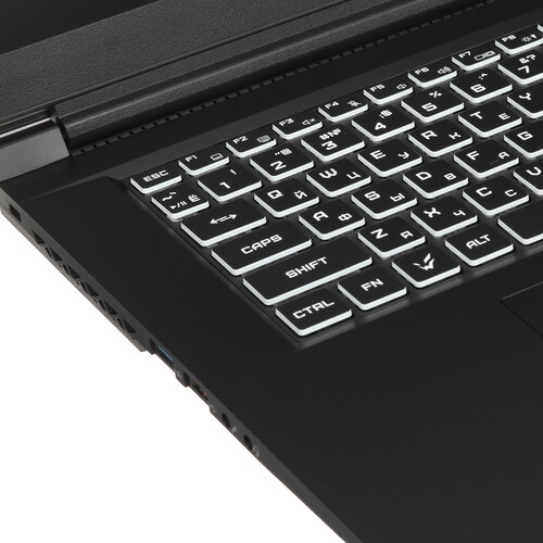 Купить 17.3" Ноутбук ARDOR GAMING NEO N17-I5ND414 черный  9127039. Характеристики, отзывы и цены в Донецке