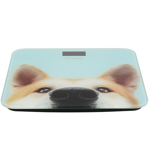 Купить Весы Hyundai H-BS03680 голубой  9211797. Характеристики, отзывы и цены в Донецке