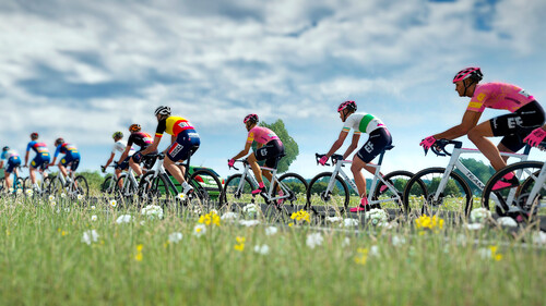 Купить Игра Tour De France 2024 (Steam)  5622449. Характеристики, отзывы и цены в Донецке