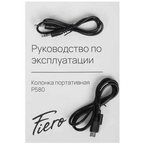Купить Портативная колонка Fiero Tonnerre P580, черный  5401372. Характеристики, отзывы и цены в Донецке
