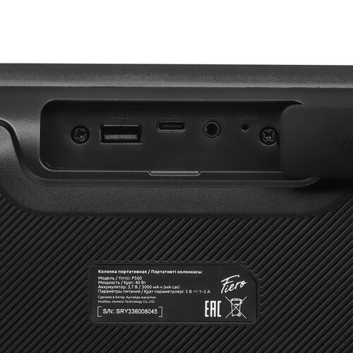 Купить Портативная колонка Fiero Fortune P560, черный  5401566. Характеристики, отзывы и цены в Донецке