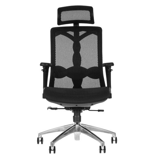 Купить Кресло офисное Evolution FUSION Mesh черный  5054895. Характеристики, отзывы и цены в Донецке