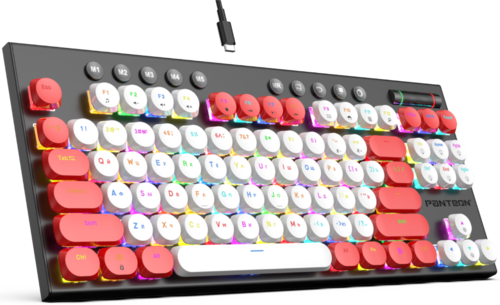 Купить Клавиатура проводная Panteon T20 PRO RS HS D [PANTEON T20 PRORSHSD (52)]  5483701. Характеристики, отзывы и цены в Донецке