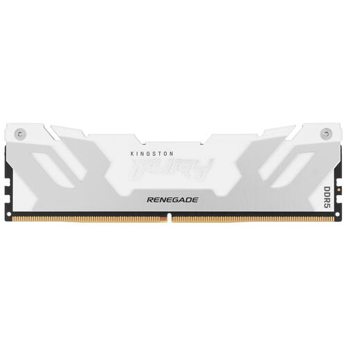 Купить Оперативная память Kingston Fury Renegade White [KF560C32RW-32] 32 ГБ  5406025. Характеристики, отзывы и цены в Донецке