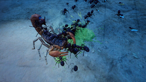 Купить Дополнение для игры Empires of the Undergrowth - Exploding Ants (Steam)  5624086. Характеристики, отзывы и цены в Донецке