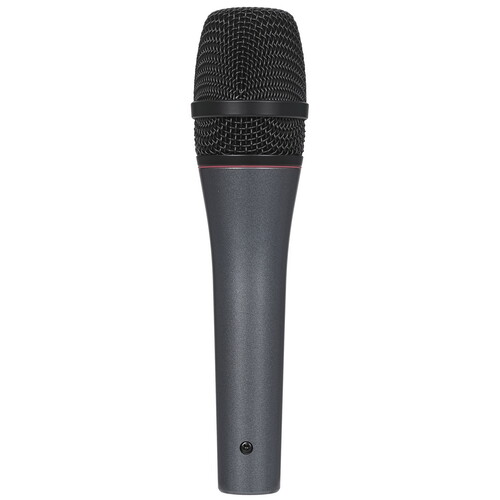Купить Микрофон Sennheiser E 865-S серый  9241625. Характеристики, отзывы и цены в Донецке