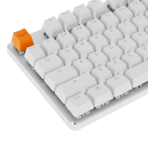 Купить Клавиатура  проводная Glorious GMMK TKL  5082486. Характеристики, отзывы и цены в Донецке