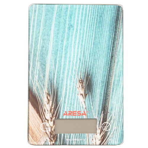 Купить Кухонные весы ARESA AR-4309 разноцветный  8192336. Характеристики, отзывы и цены в Донецке