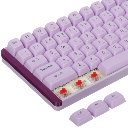 Купить Клавиатура+мышь беспроводная   Оклик S315W фиолетовый  9299387. Характеристики, отзывы и цены в Донецке
