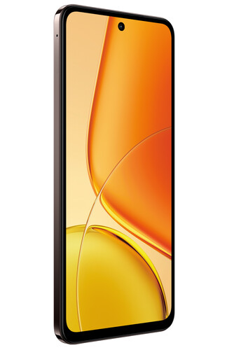 Купить 6.68" Смартфон Vivo Y29 256 ГБ коричневый  5626152. Характеристики, отзывы и цены в Донецке