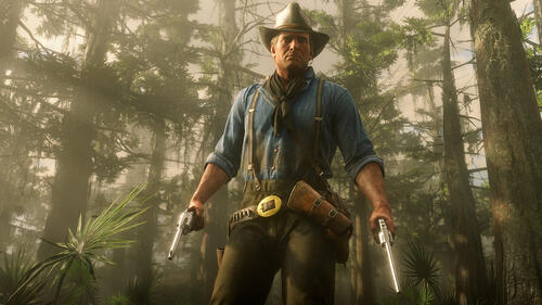 Купить Игра Red Dead Redemption 2 (PS4)  1216153. Характеристики, отзывы и цены в Донецке