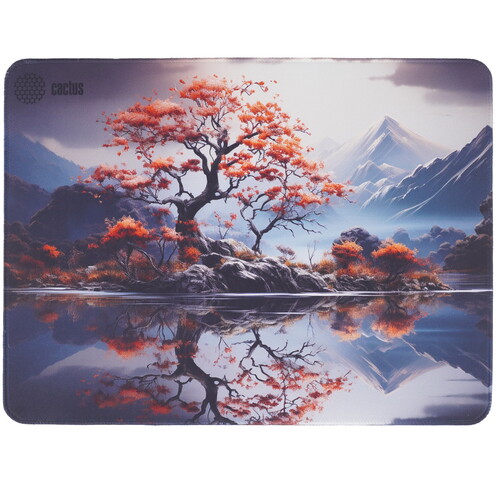 Купить Коврик Cactus Lake  разноцветный  9150254. Характеристики, отзывы и цены в Донецке